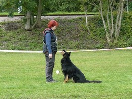 Ch., JCh., VCh. Orsid Krosandra