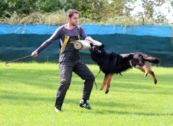 Ch., JCh., Grand Ch. Centaurus Fidelis et Fortis